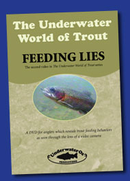 The Underwater World Of Trout Volume 2: Feeding Flies